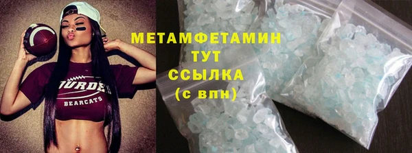 прущие грибы Дмитриев