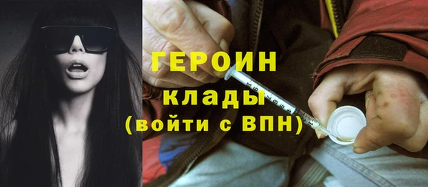 прущие грибы Дмитриев