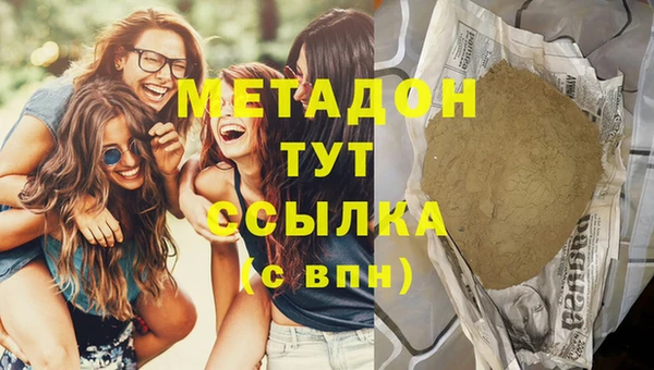 прущие грибы Дмитриев