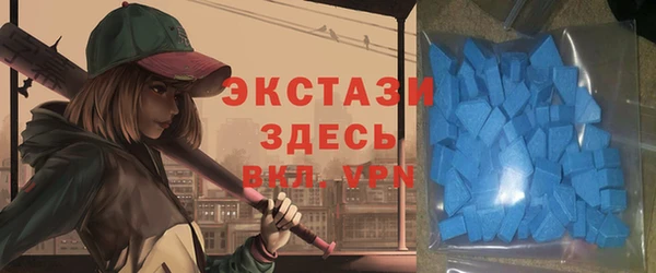 прущие грибы Дмитриев