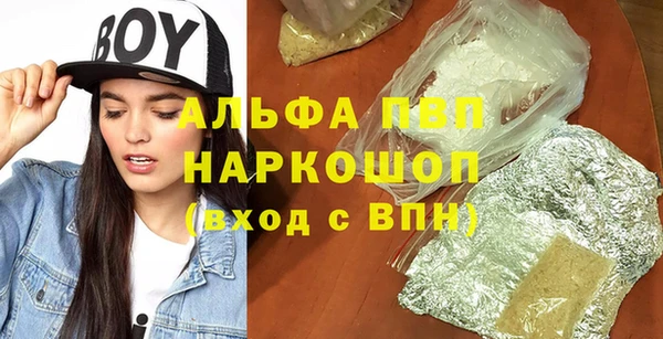 прущие грибы Дмитриев