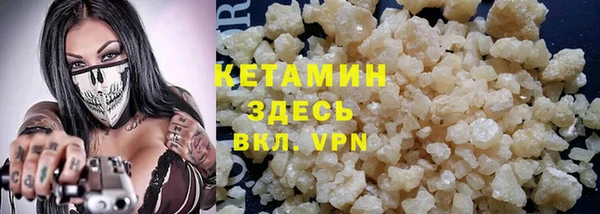 прущие грибы Дмитриев