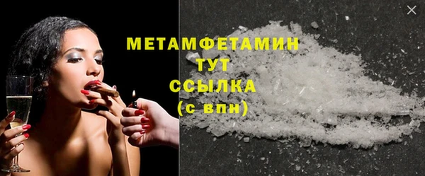 прущие грибы Дмитриев
