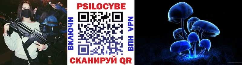 как найти закладки  Мураши  Псилоцибиновые грибы прущие грибы 